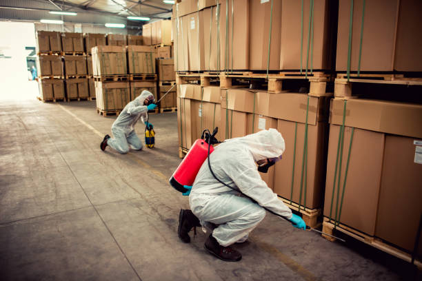 Best Pest Control Treatment  in Bawcomville, LA