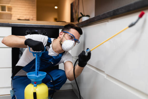Best Pest Control Near Me  in Bawcomville, LA