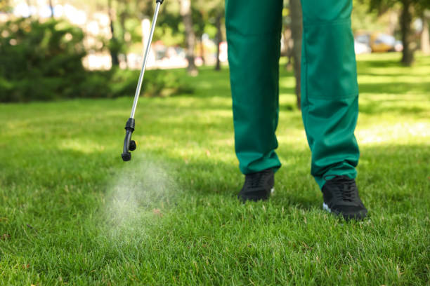 Best Emergency Pest Control  in Bawcomville, LA
