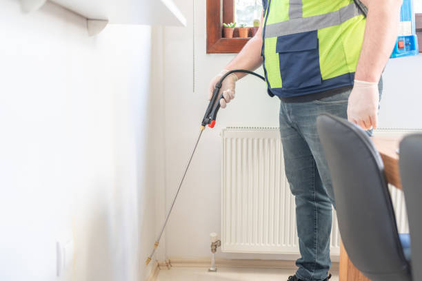 Reliable Bawcomville, LA Pest Control Solutions