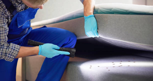 Best Ant Control Services  in Bawcomville, LA
